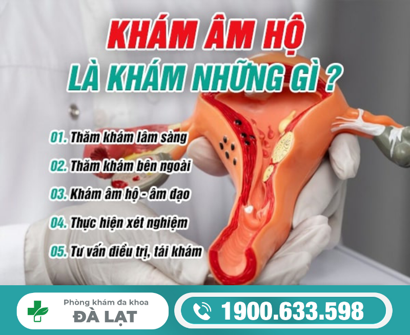 Hình ảnh minh họa